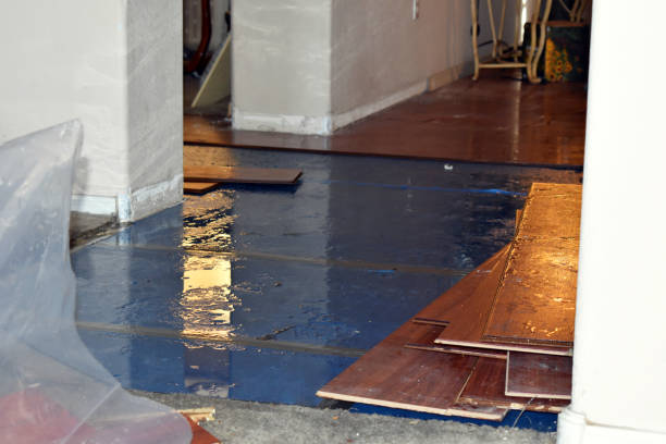 Professional Basement Flood Cleanup technician working in Jessup, MD